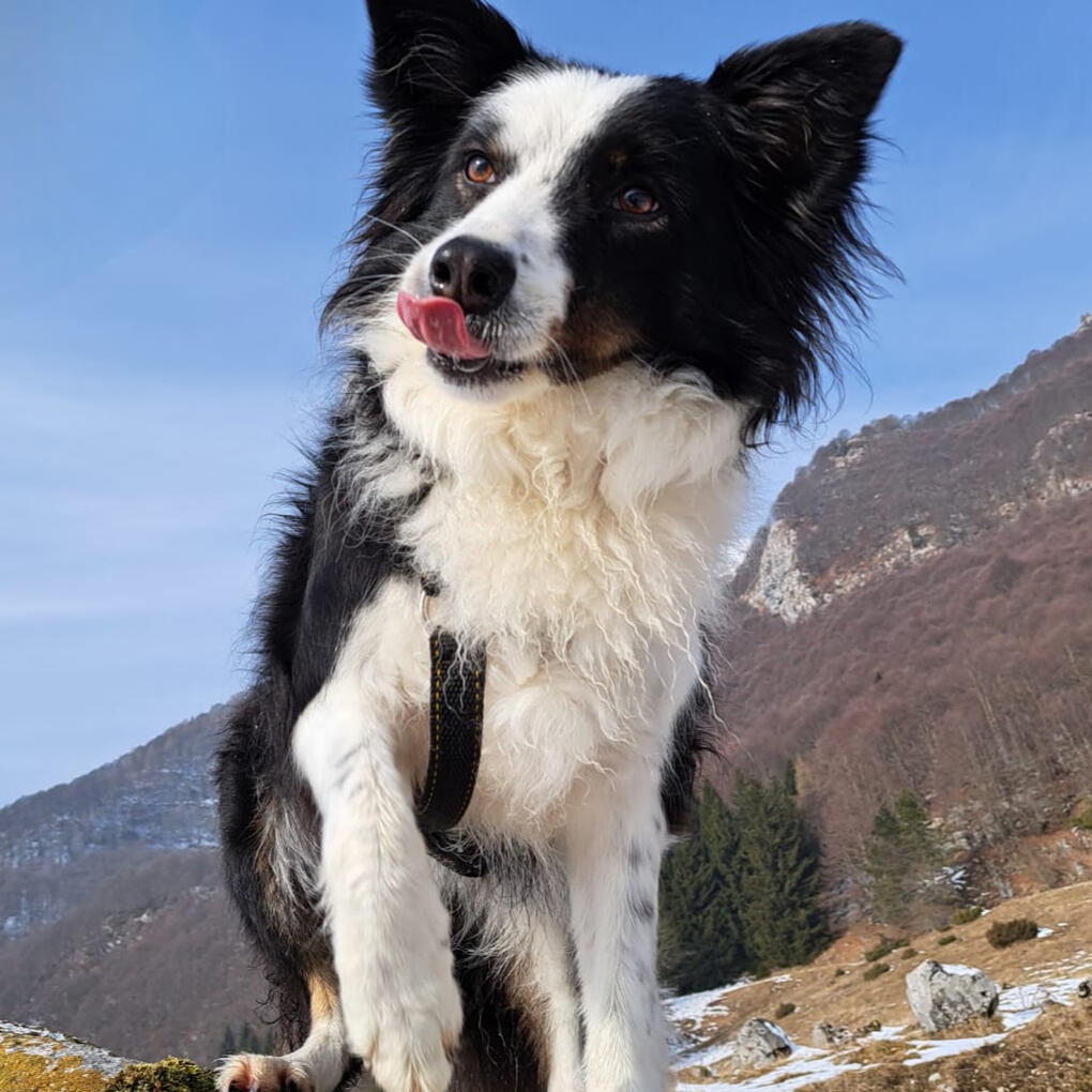 Amora, my sweet girl