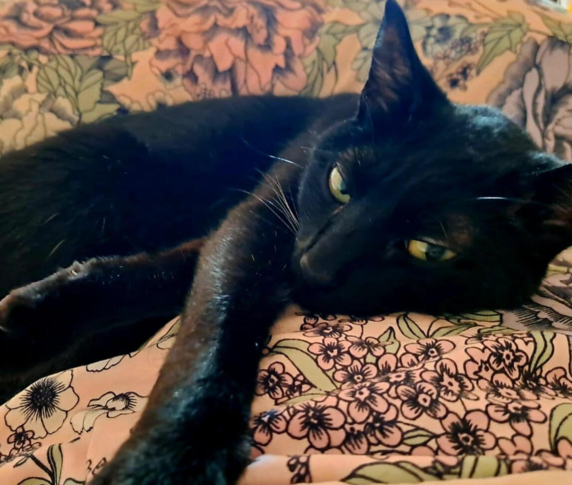 Baltazar, my boss